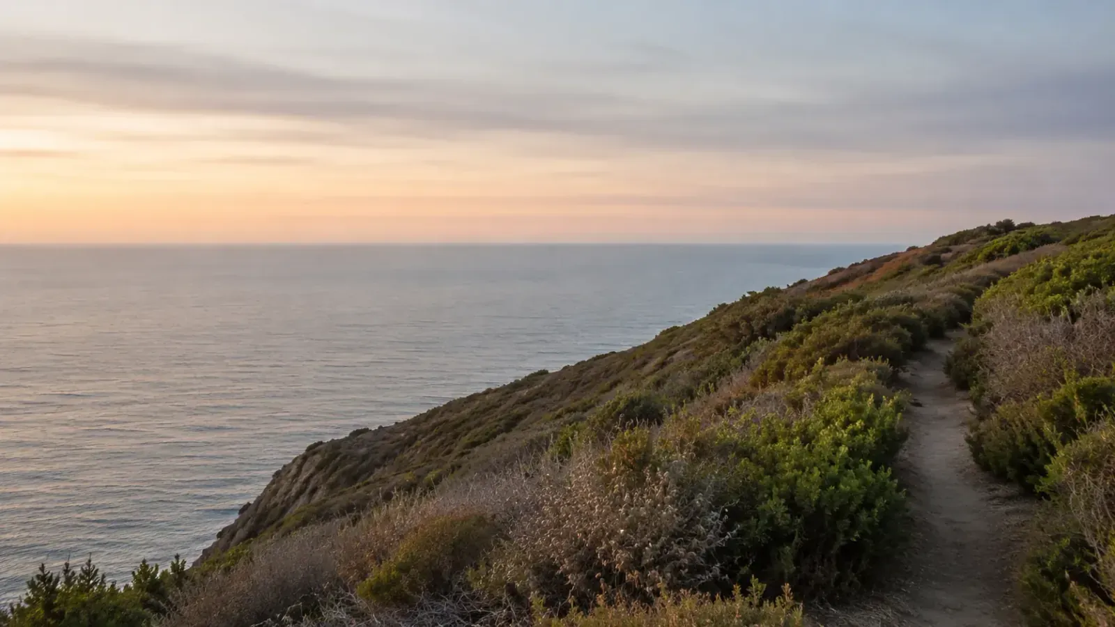 Coastal bluff trail above the ocean near Carlsbad, California